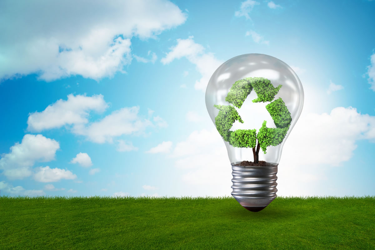 Winning the Environmental Stewardship War