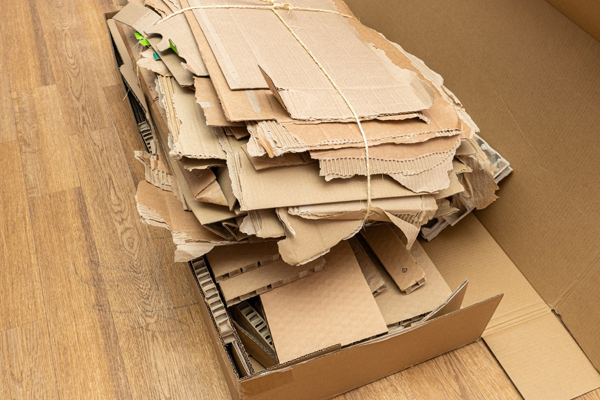 Cardboard Box Removal - 6 Ways to Dispose Sustainably