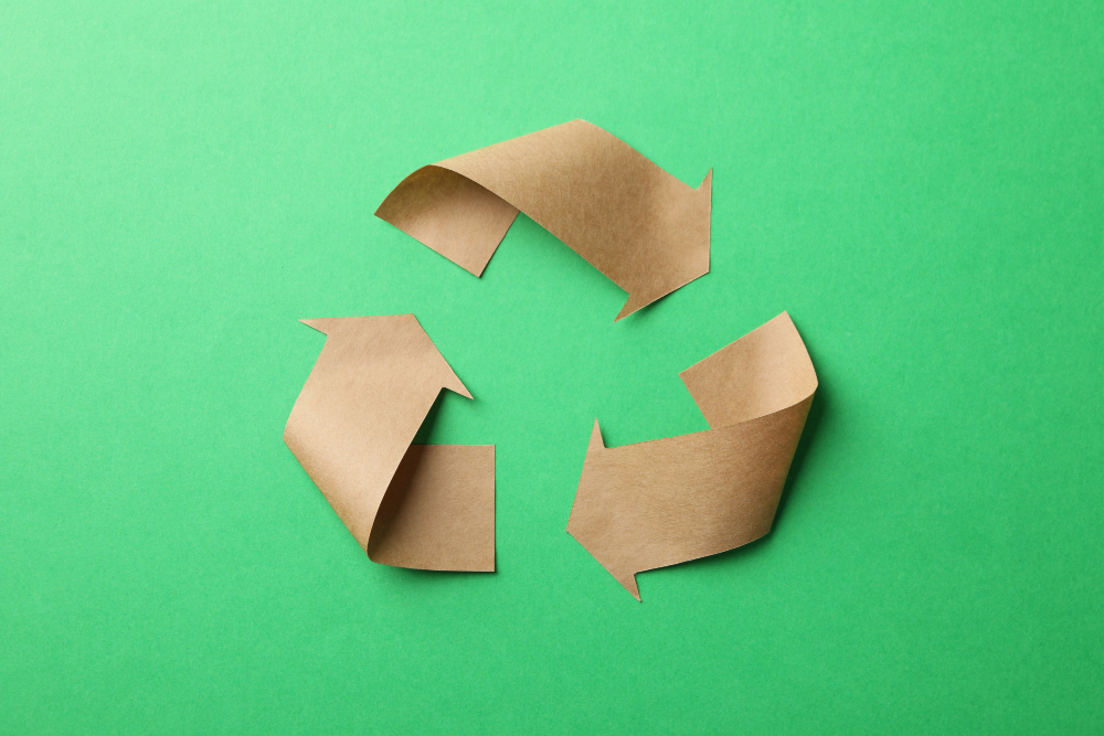 The Paper Recycling Process Explained