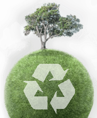 Orlando Recycling